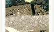LIV_web_05B