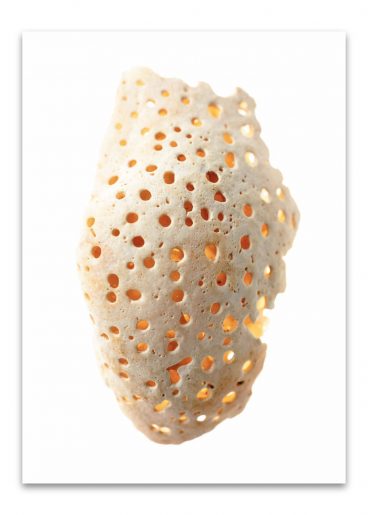 kalender_fundstücke_komplett_2024_50mal70_dd_ohne