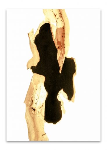 kalender_fundstücke_komplett_2024_50mal70_dd_ohne