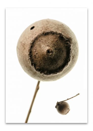 kalender_fundstücke_komplett_2024_50mal70_dd_ohne