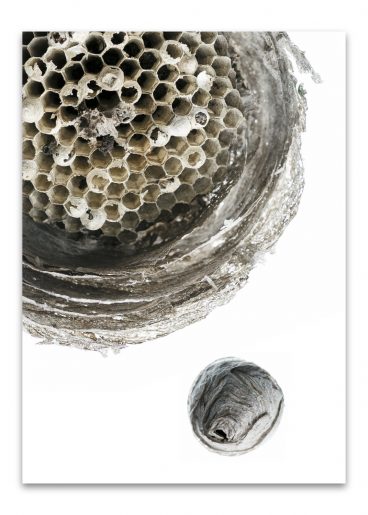 kalender_fundstücke_komplett_2024_50mal70_dd_ohne