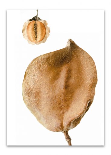 kalender_fundstücke_komplett_2024_50mal70_dd_ohne