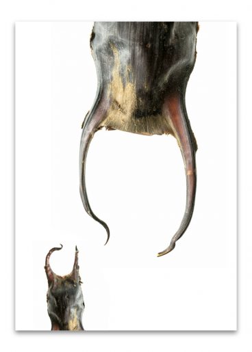 kalender_fundstücke_komplett_2024_50mal70_dd_ohne