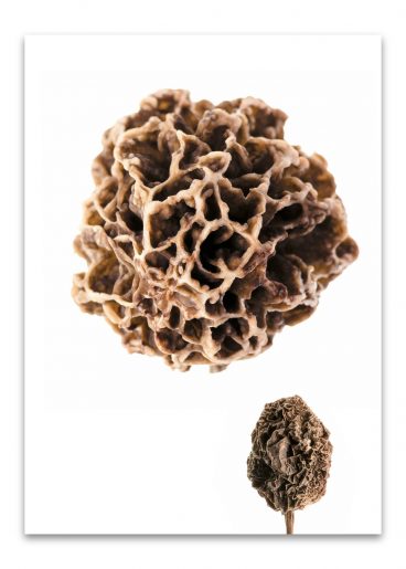 kalender_fundstücke_komplett_2024_50mal70_dd_ohne