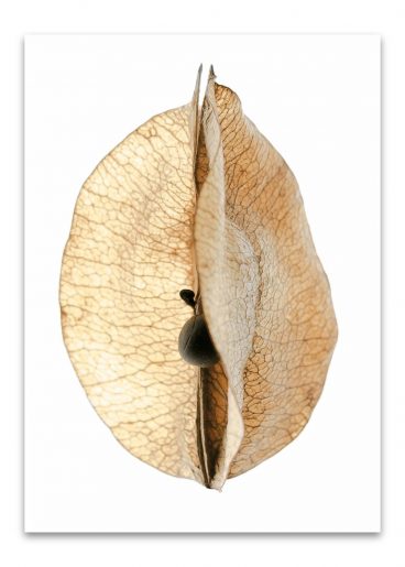 kalender_fundstücke_komplett_2024_50mal70_dd_ohne