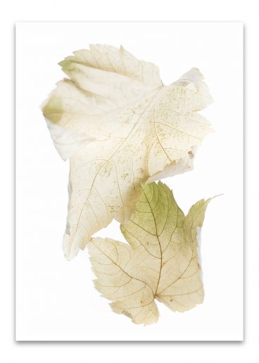 kalender_fundstücke_komplett_2024_50mal70_dd_ohne