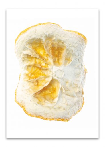 kalender_fundstücke_komplett_2024_50mal70_dd_ohne